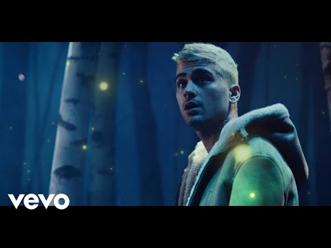 ZAYN - Vibez (Official Video)