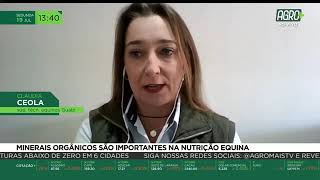 Miniatura do vídeo