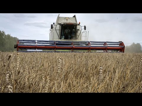 Video Thumbnail: Enttäuschung nach Aufkündigung des ukrainischen Getreide-Export-Deals