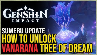 How to Unlock Vanarana Tree of Dreams Genshin Impact