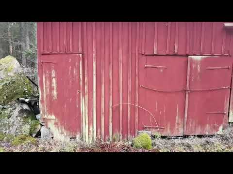 DE GAMLA SKJULEN i SÄVSJÖMÅLA - 2023-02-11 - Ronneby - Blekinge