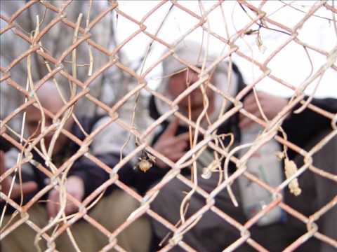 DIZZY MARK AND HONEY OPERA BY D M H