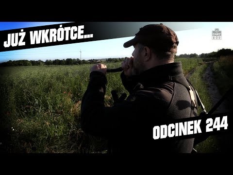 Darz Bór zapowiedź odcinka 244