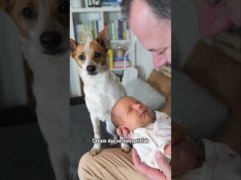 Pampi predstavuje svojho brata - Jonáša - a dáva mu verejný prísľub 😚🥰.#pampi #baby #babatko