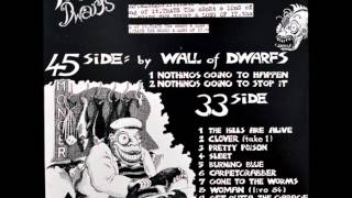 Tall Dwarfs - Nothing's Going To Happen (Wall Of Dwarfs version)