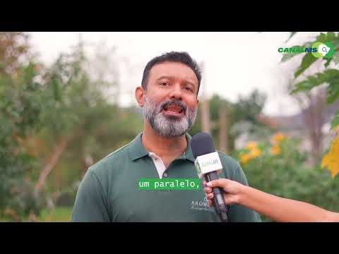 HORTO DE AROMMATO: CONHEÇA O UNIVERSO DAS PLANTAS EM ZIGURATS