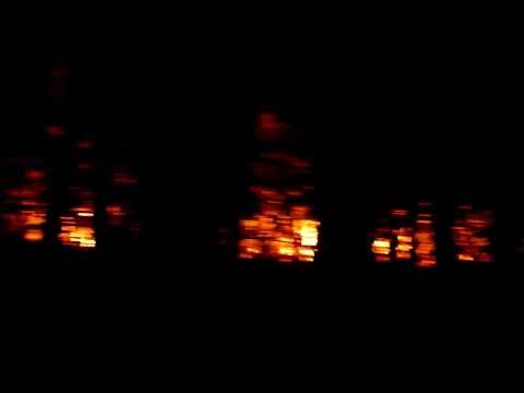 Crowthorne forest fire