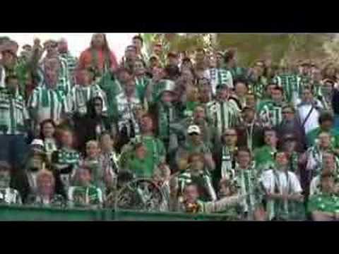Svět fanoušků - Bohemians