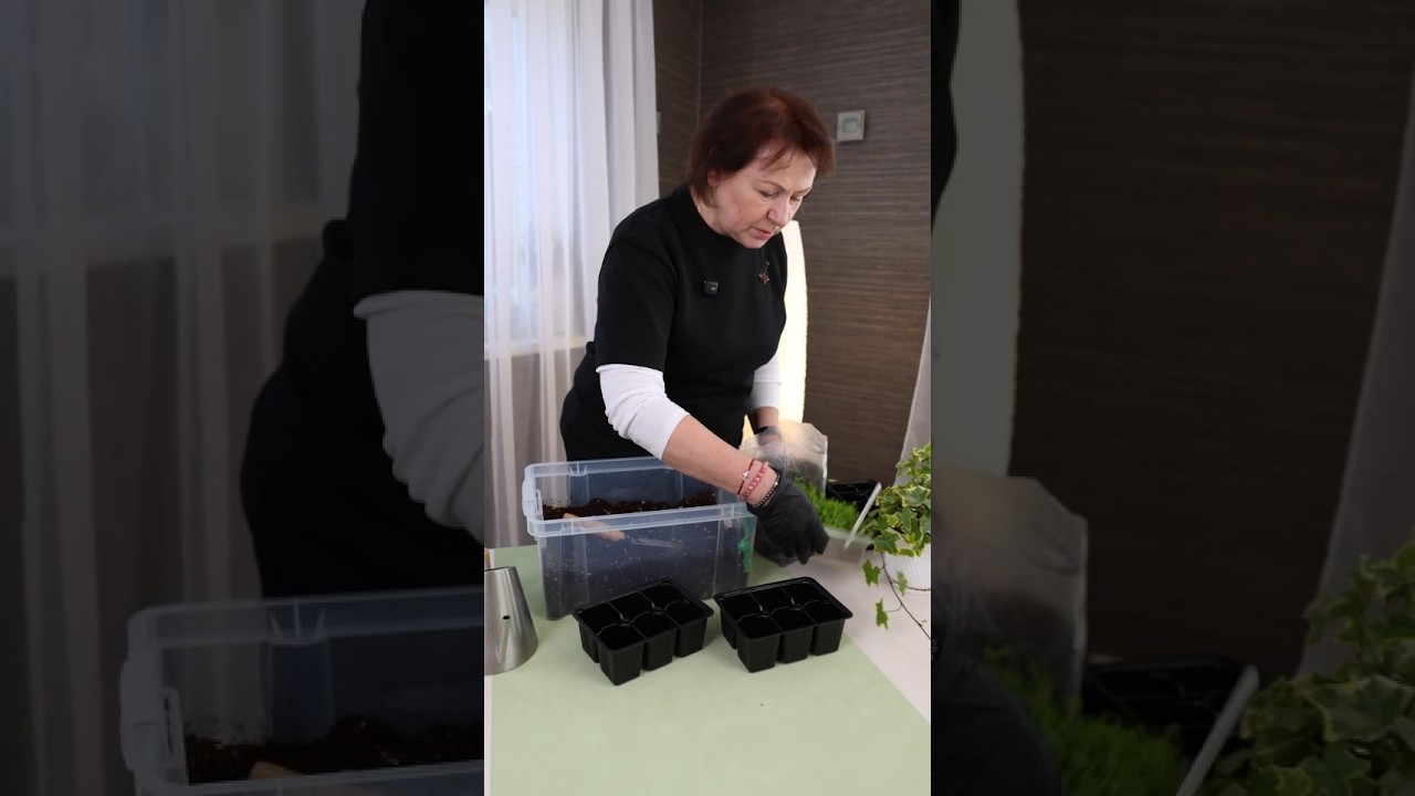 У вас будет самая крепкая рассада цветов, если сделаете так при пикировке! Будет цвести пышно и долго