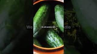 Homemade Dill Pickles — Step-by-Step Guide & Transcript
