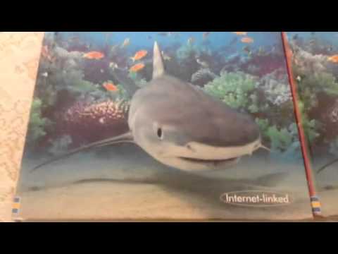 What is the difference between Hardback and Library Bound