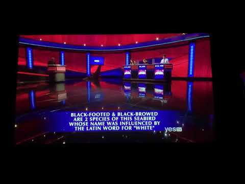 Final Jeopardy, “Birds” 🐦🐤 - Jessica Babbitt Day 3 (3/13/20)