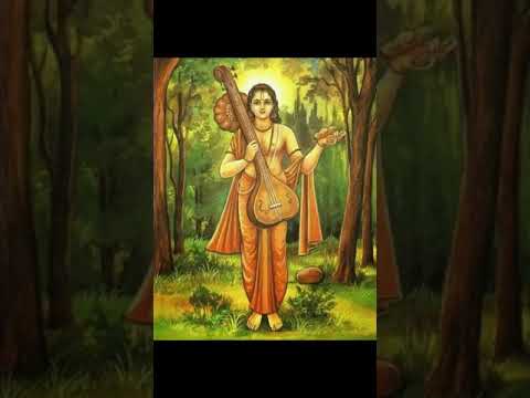 Narada Maharshi story