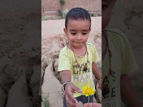 Vrishank & The Hunt of Yellow Flower