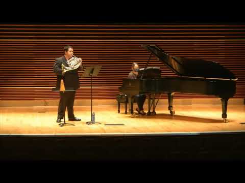 En Irlande - Eugène Bozza