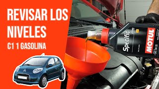 Youtube thumbnail of video "Revisar los niveles"