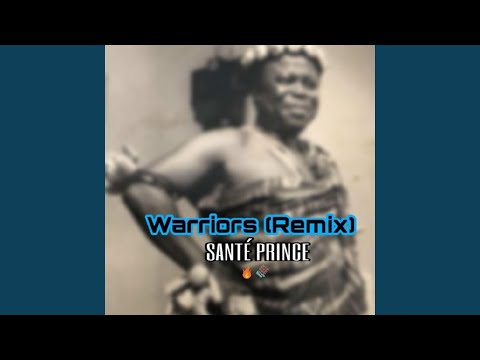 Warriors (feat. Too Many Zooz) (Remix)
