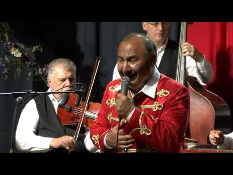 Fényes György: A vén cigány