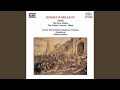 Mlada Suite: Redowa - Slovak Radio Symphony Orchestra - Topic Mlada Suite: Redowa