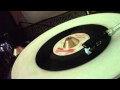 The Jamaicans - The Things You Say You Love ...