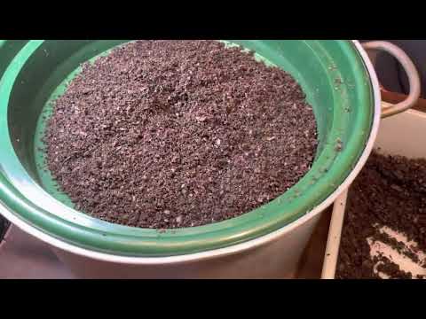 ReSetting Breeder Bin - New Method of Separating the Adults from the Cocoons