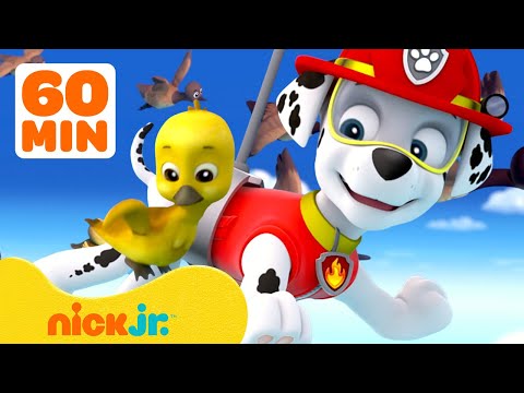 Capa de Patrulha Canina Resgates e Aventuras com Animais Bebês! com Marshall 🐥 | 1 Hora | Nick Jr.