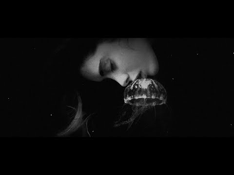 Dymo × Jarza - Anima vilis ft. Linda