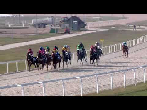 2018.11.11. 03. futam - NYERETLEN KÉTÉVESEK VERSENYE (IV.kat.) (szintetikus pálya)