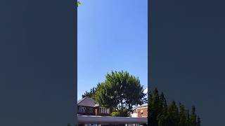 Clear Sky, Flying High ✈️☁️ #LondonSky #Shorts #viral #london #india #airplaneshot #airplane