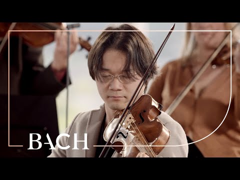 Bach - Violin Concerto in A minor BWV 1041 - Sato | Netherlands Bach Society