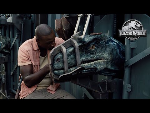 Taming the velociraptors scene - Jurassic World (2015) 4K