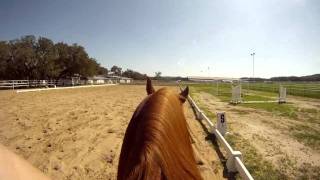 preview picture of video 'Skye Cantering 1st Person POV HD'