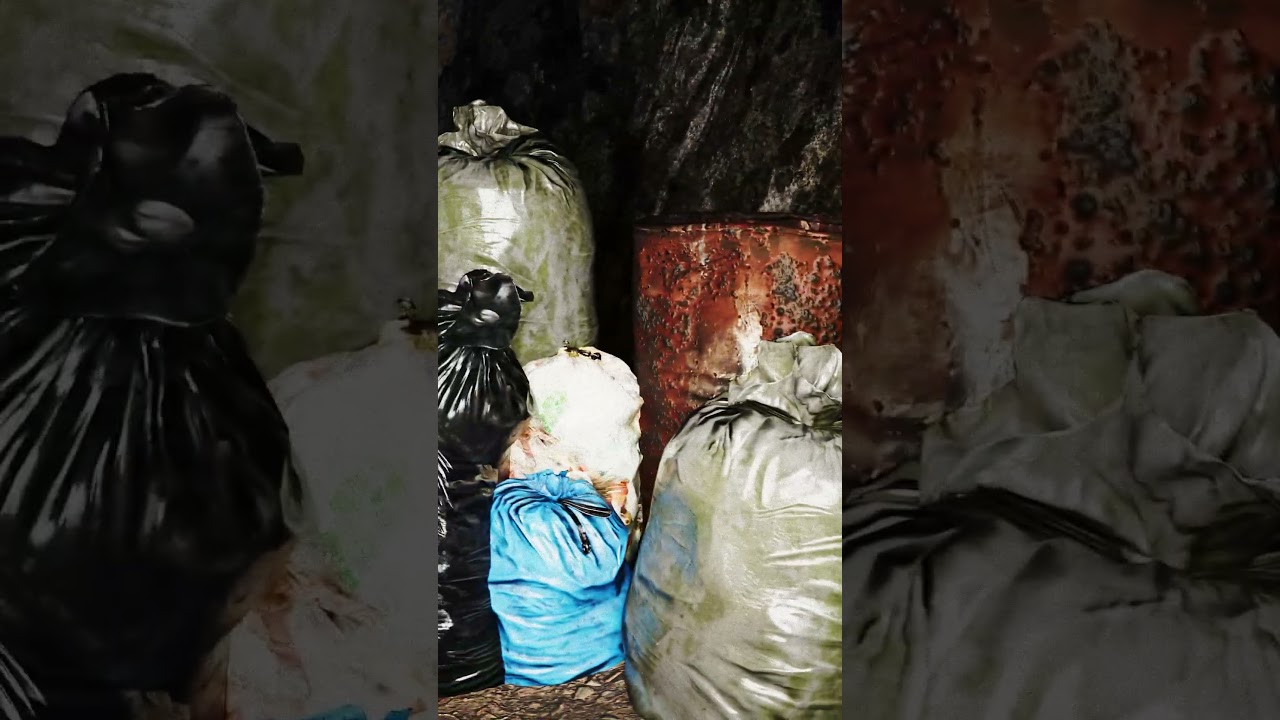 面荒/Menkou #神影録 #ShineiRoku