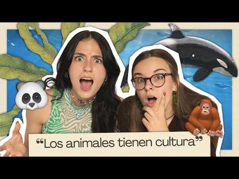 MEDICAL MONKEYS | IN THEORY with Almendra Veiga and Celeste Giardinelli