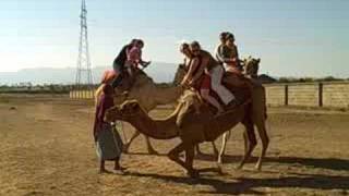 preview picture of video 'Patricia Harmon rides a camel in Africa'