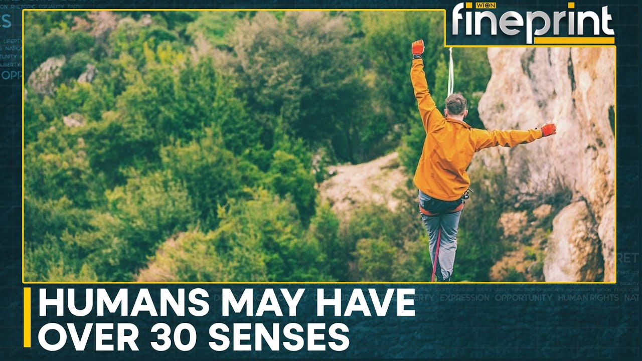 The Hidden Sensors: Your Body Knows Before You Do | WION Fineprint