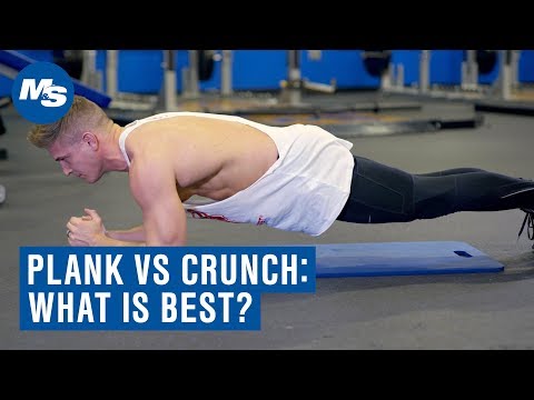 Muscular Strenght Title