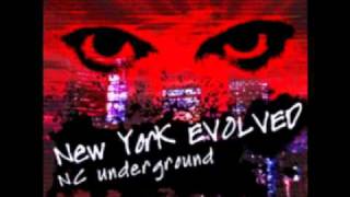 Cover art for New York EVOLVED