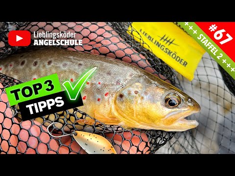 Forellen im Bach fangen – Die 3 BESTEN Tipps für deinen Erfolg! 🐟🔥