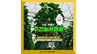[ 주간농사정보 ] 6월 셋째주