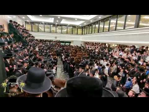 Satmar Rebbe R' Aharon At a Hachnosas Sefer Torah In Montreal - Kislev 5783