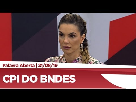Paula Belmonte faz balanço da CPI do BNDES