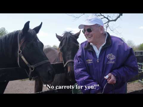 Old Friends Virtual Tour -Game On Dude, Little Mike, Hogy and Soi Phet