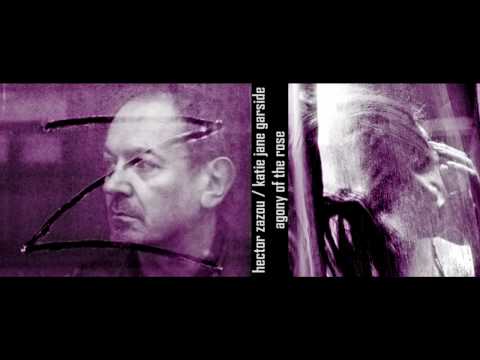 hector zazou / katie jane garside - agony of the rose