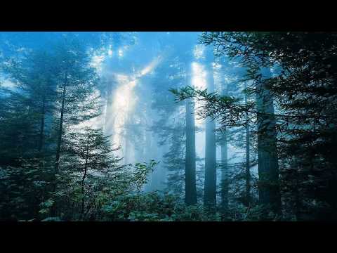 Menno De Jong Pres. Myth - Sjamaan