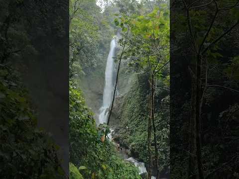 Caminata por Mistrató y la Cascada del Sutú | Trekking en Risaralda
