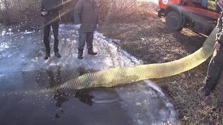 Пруды для рыбалки в липецкой области высокополье