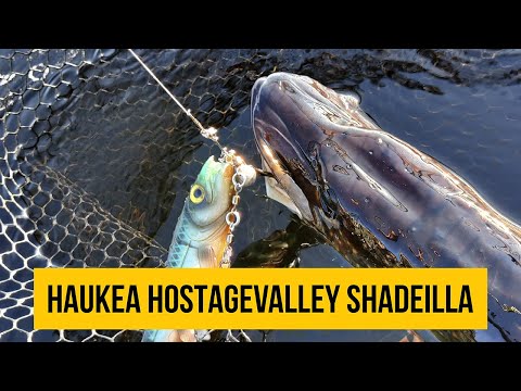 HAUENKALASTUSTA JOELLA - HOSTAGEVALLEY & SHAKER BAITS HAUKIKUMIT TOIMII