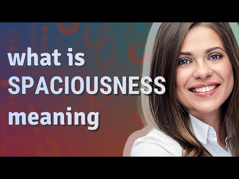 Spaciousness | meaning of Spaciousness