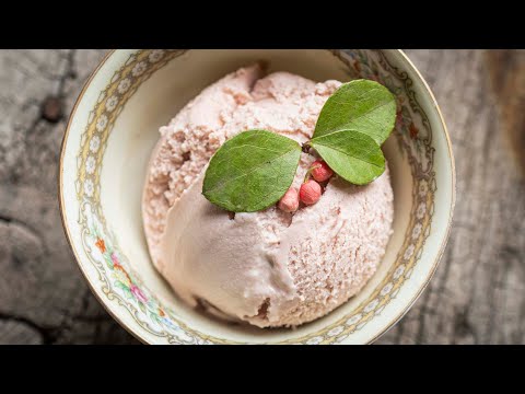 Homemade Teaberry Ice Cream